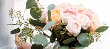 Düğün, Nişan, Sünnet, Açılış, Bayi Toplantısı, Gala Yemeği