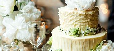 Düğün, Nişan, Sünnet, Açılış, Bayi Toplantısı, Gala Yemeği