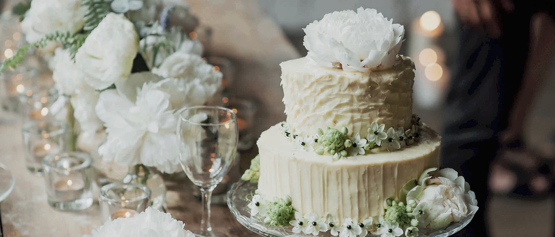 Düğün, Nişan, Sünnet, Açılış, Bayi Toplantısı, Gala Yemeği